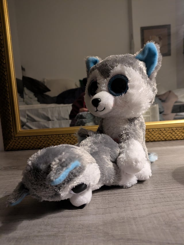 Bought 2 Plushies for me and my domme, guess which one I am?